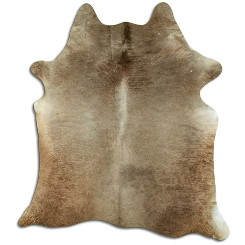 Champagner Kuhfell L