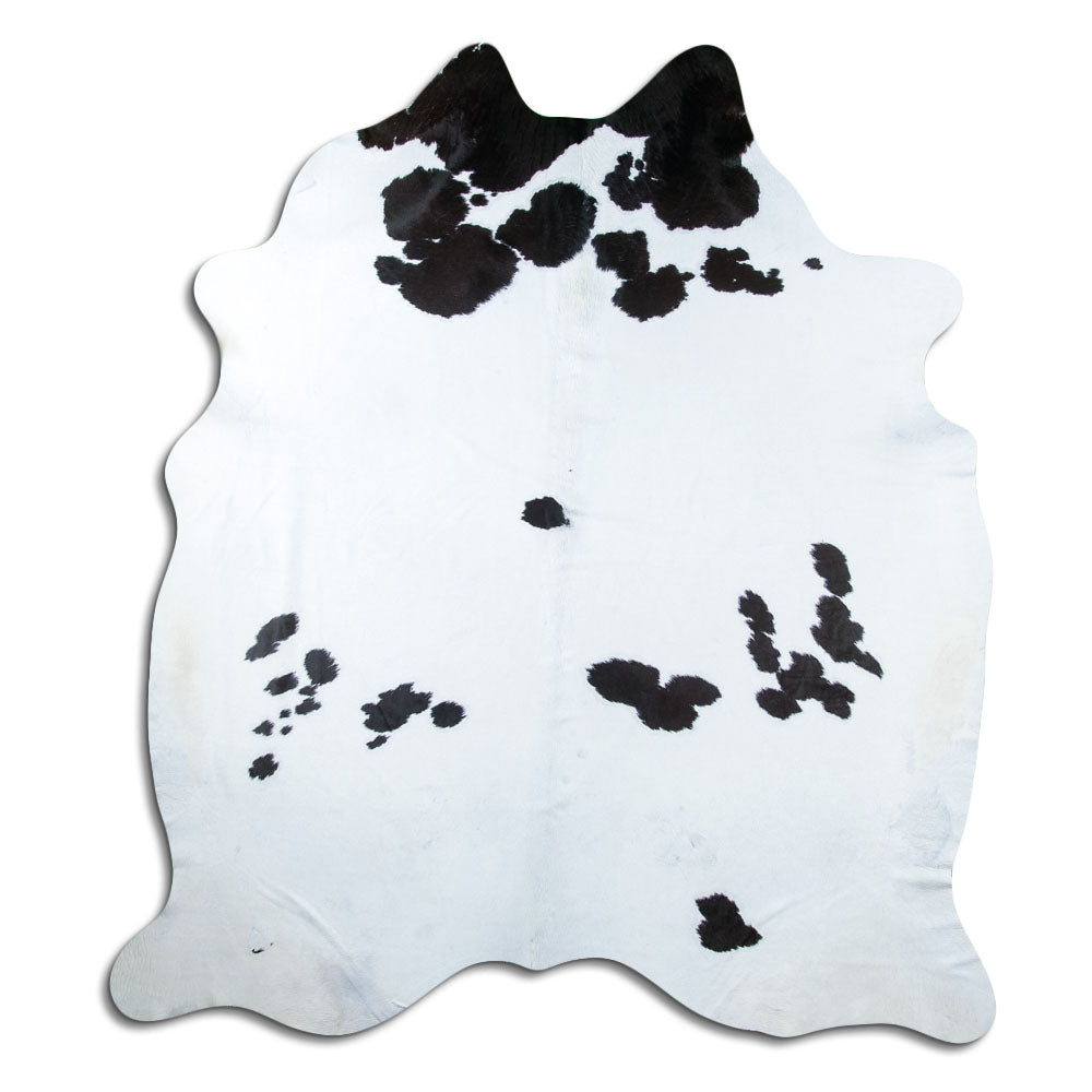 Schwarz-weisses Kuhfell, ca. 240 × 210 cm, von oben fotografiert: genau das Fell, das Sie erhalten