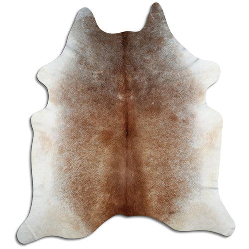 Tan Grey Kuhfell XXL