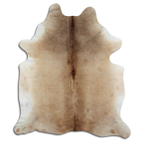Tan Grey Kuhfell XL