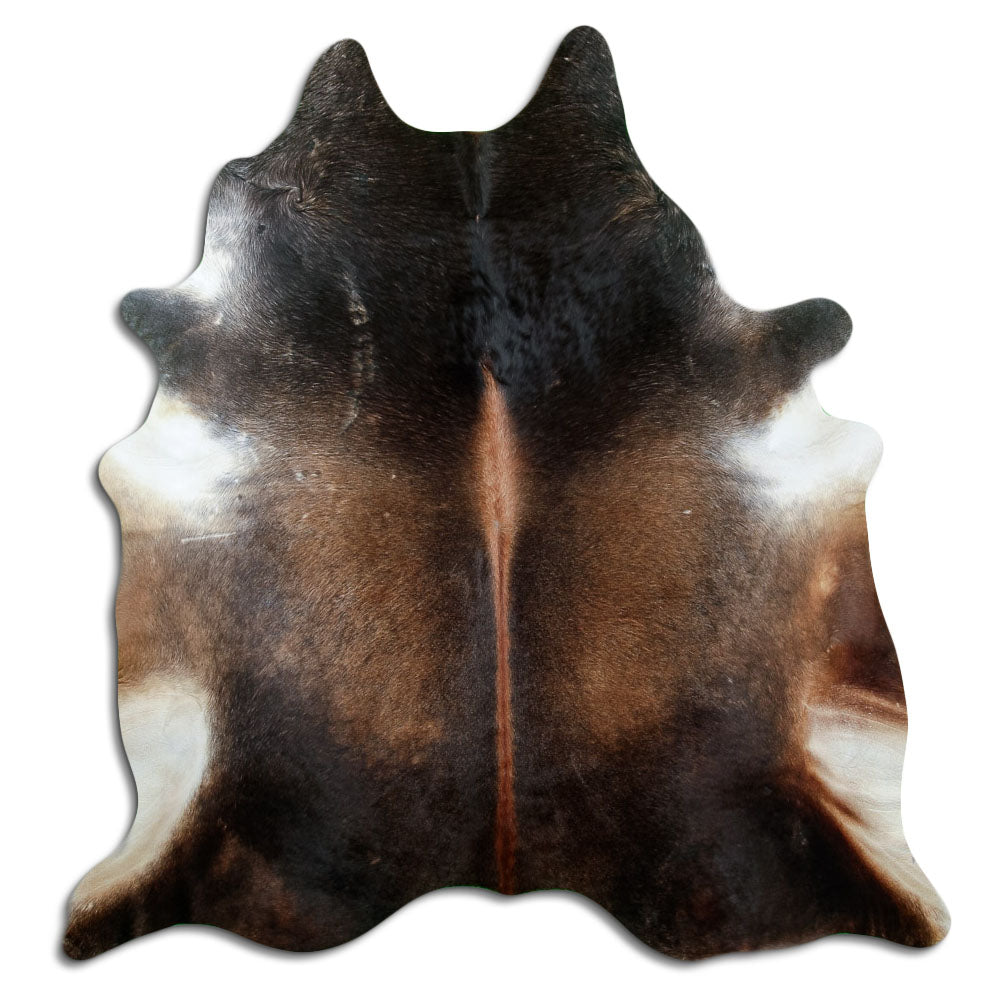 Braunes Kuhfell, ca. 220 × 200 cm, von oben fotografiert: genau das Fell, das Sie erhalten