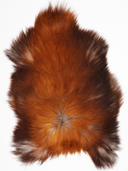 Isländisches Schaffell Rusty XL