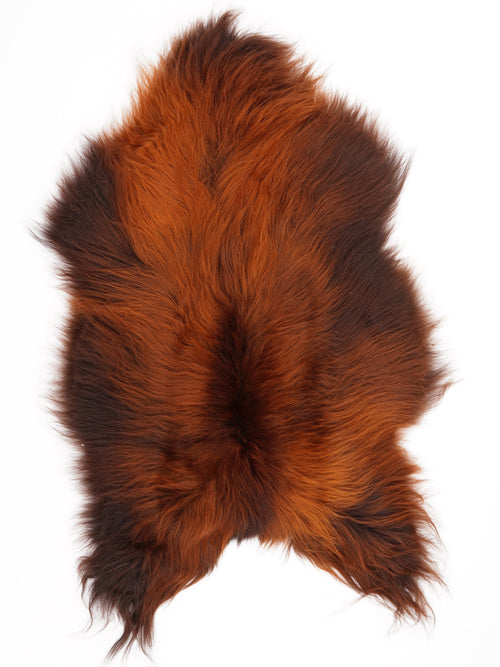 Isländisches Schaffell Rusty XL