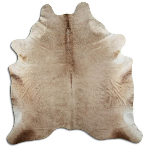 Champagner Kuhfell XL