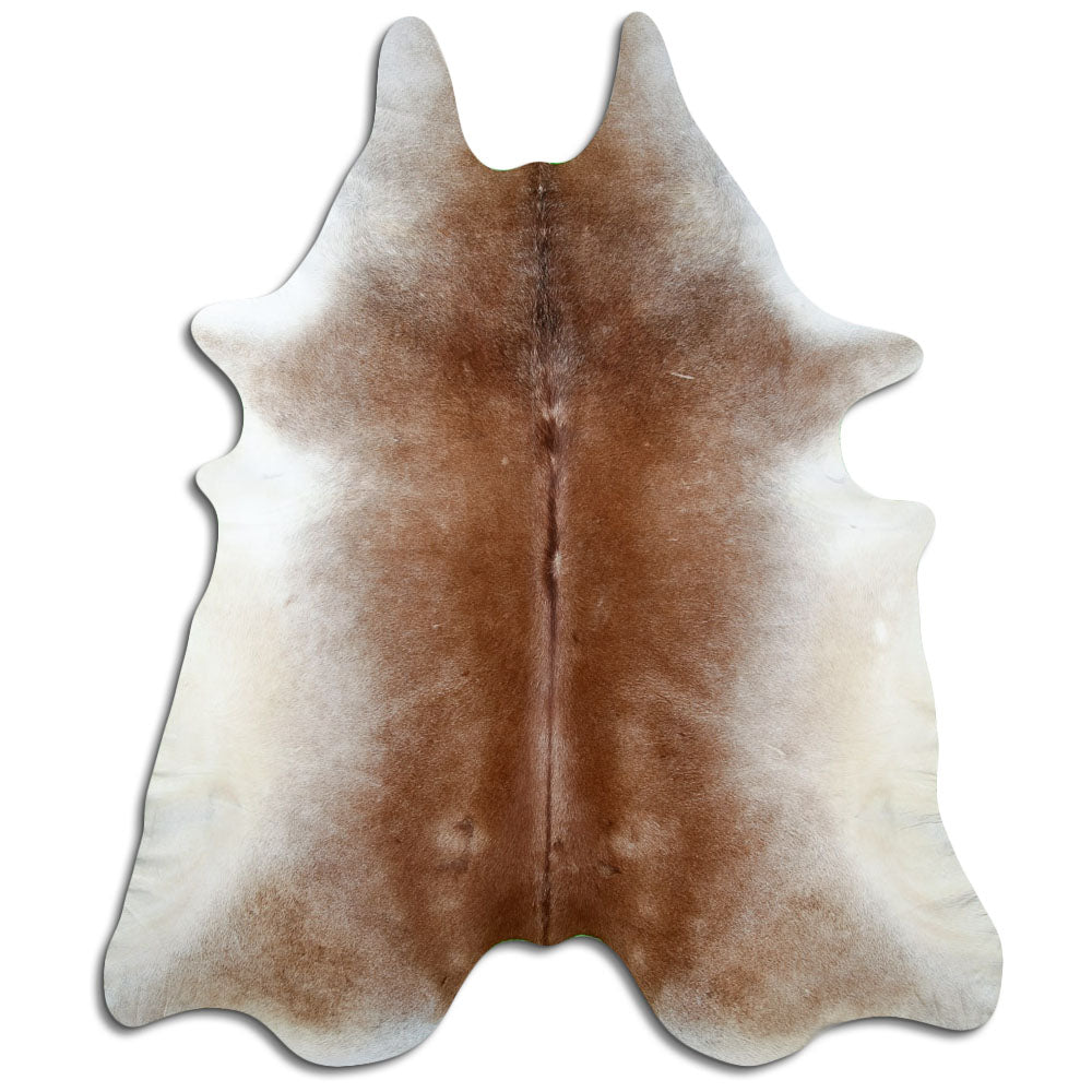 Braunes Kuhfell, ca. 250 × 210 cm, von oben fotografiert: genau das Fell, das Sie erhalten