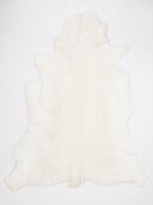 OX00023