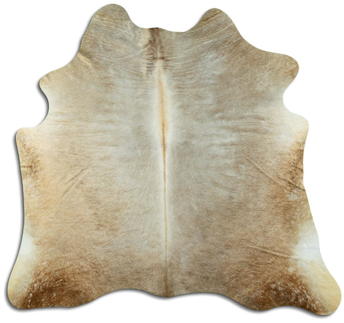 Champagner Kuhfell M