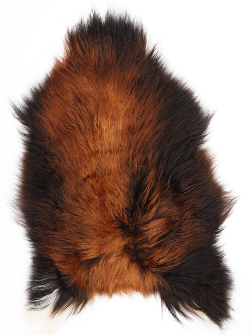 Isländisches Schaffell Rusty XL