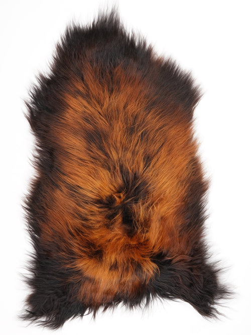 Isländisches Schaffell Mehrfarbig XL