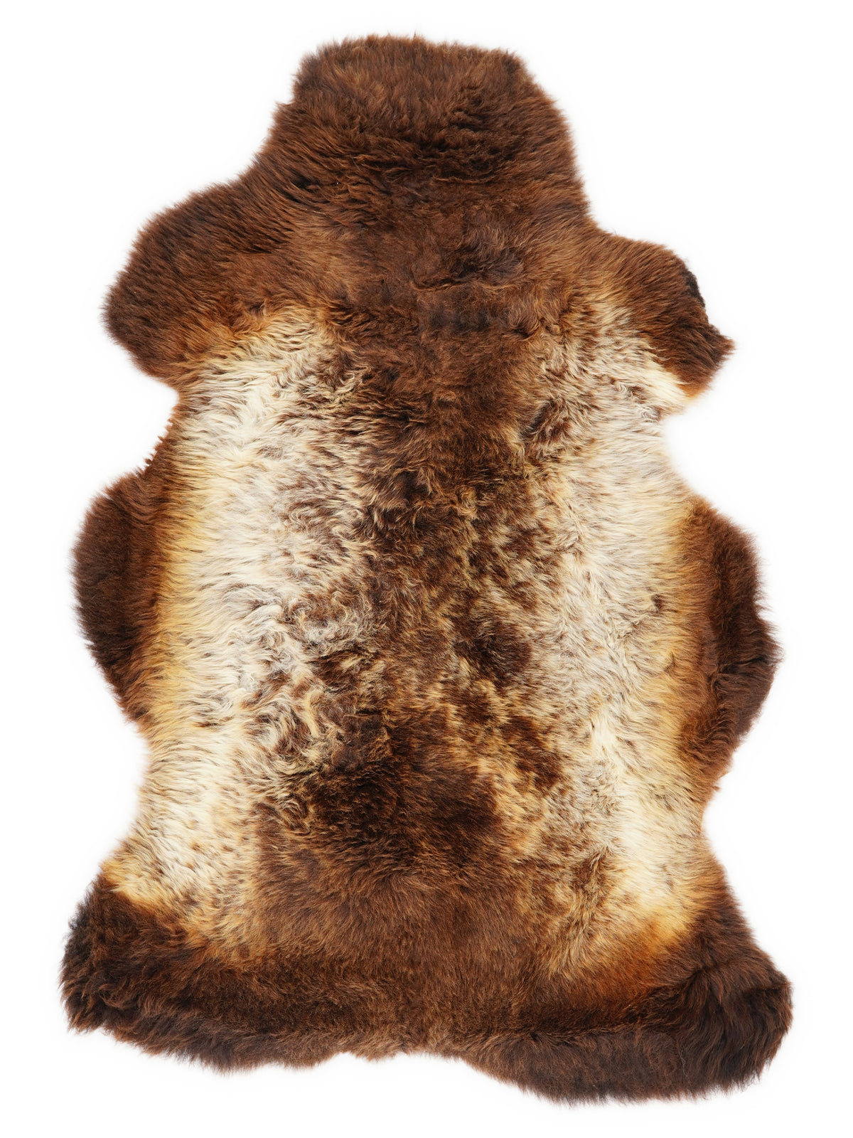 Mehrfarbiges britisches Lammfell, ca. 110 × 70 cm, von oben fotografiert: genau das Fell, das Sie erhalten