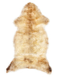 Mehrfarbiges britisches Lammfell, ca. 120 × 55 cm, von oben fotografiert: genau das Fell, das Sie erhalten